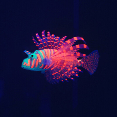 

Toponeto Aquarium Landscaping Decorations Luminous Simulation Of Colored Lionfish