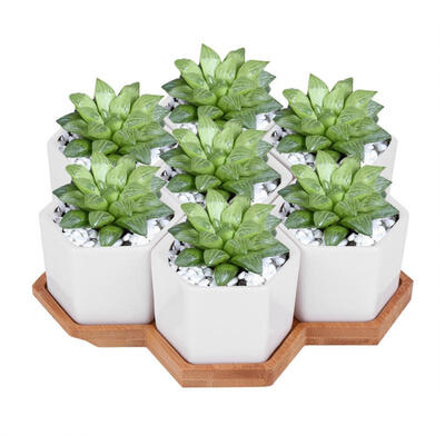

Greensen 7Pcs Ceramic Plant Pot with Bamboo Tray Succulent Plant Planter Container Garden Desktop Decor