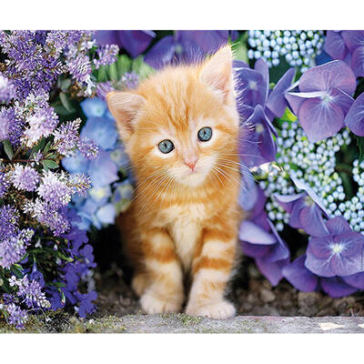 

5D DIY Full Drill Diamond Painting Lovely Cat Cross Stitch Embroidery Kits