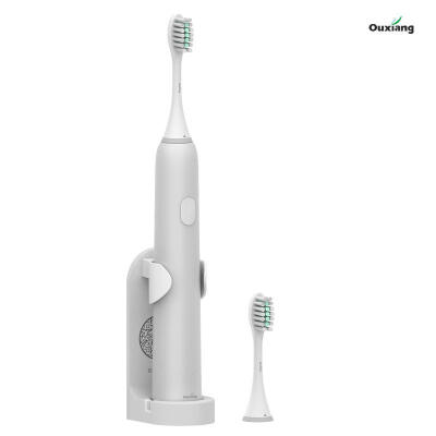 

Automatic Vertical Brush Electric Toothbrush Waterproof Charge Clean Electric Toothbrush Top Quality Smart Chip Smart Timer