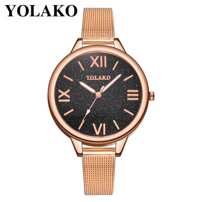 

RM YOLAKO Ladies Stainless Steel Mesh With Simple Mirror Quartz Fine Strap Watch