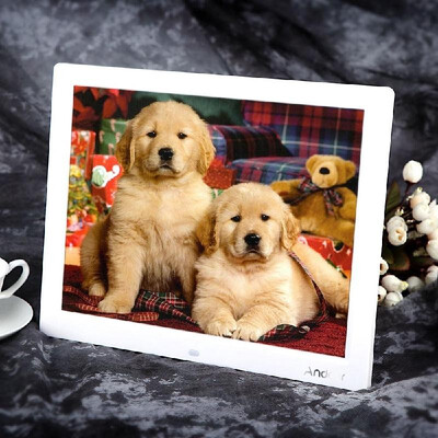 

Andoer 14 HD TFT-LCD 1024768 Digital Photo Frame Alarm Clock MP3 MP4 Movie Player with Remote Desktop