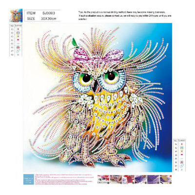 

Full Drill Round Diamond 5D DIY Diamond Painting Owl Diamond Embroidery Cross Stitch Rhinestone Mosaic Painting 0259