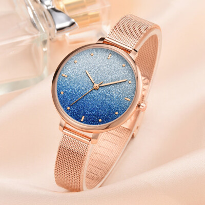 

RM Fashion Simple Ladies Watch Color Cool Frosted Dial Ladie Quartz Mesh Belt Watch