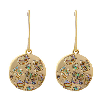 

Flashbuy Alloy Shell Statement Earrings Gold Geometric Earrings for Women Beach Summer Pendientes Girls Jewelry Party Accessory
