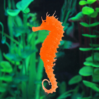 

Siaonvr Aquarium Fish Tank Landscaping Decor Glowing Effect Animal Sea Horse Ornament