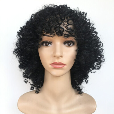 

FZP Hot brazilian Hair African Ameri short kinky Curly Wig Simulation Human Hair short curly full wigs in stock