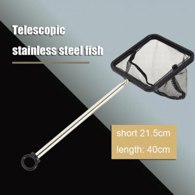 

Siaonvr Professional Shrimp Fishing Net Durable Telescopic Safe Shrimp Net For Fish Tank