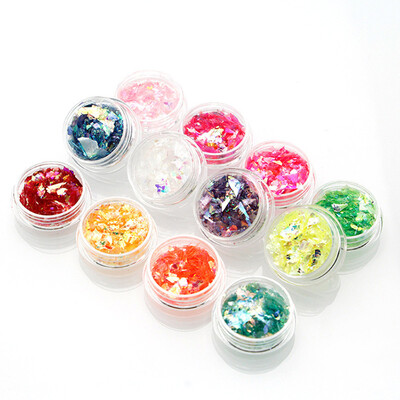 

Toponeto 12 Pcs Color Nail Stickers Shell Paper Powder Manicure DIY