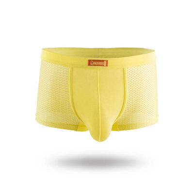 

SummeryTiny Meshes Solid Color Manly NylonModal Boxers For Gentlemen