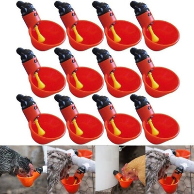 

〖Follure〗Feed Automatic Bird Coop Poultry Chicken Fowl Drinker Water Drinking Cups 12Pcs