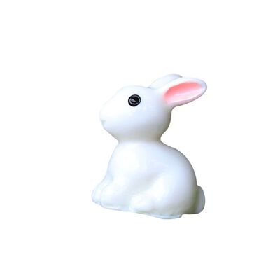 

2PCS Lovely Resin Plants Rabbit Cute Micro Landscape Succulent Ornaments Plant Decoration Garden Miniatures DIY Doll