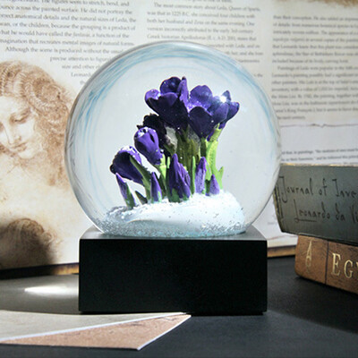 

〖Follure〗Dream crystal ball six optional creative home decoration birthday gift