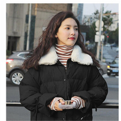 

Winter 2018 new south Korean style rabbit fur lapel down jacket students coat thickened short style cotton-padded jacket