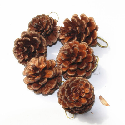 

20Pcs\6Pcs Real Natural Small Pine Cones In Bulk For Decorating Christmas Ornament Christmas Tree Toppers