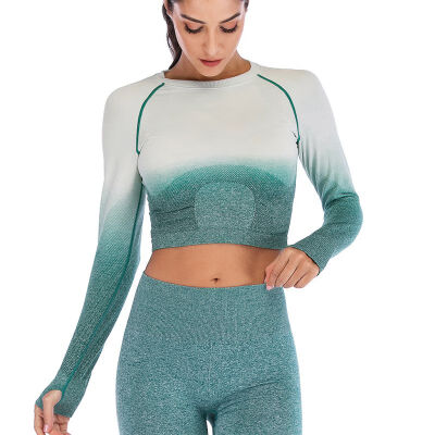 

Women Breathable Fitness Tops Seamless Long Sleeve Crop Tops Quick Drying Workout Shirts for Women