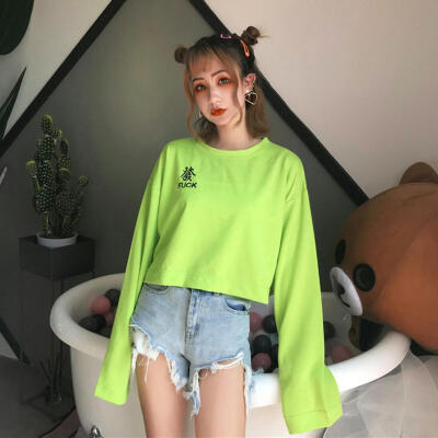 

Harajuku Style Women Loose Long Sleeve Crop Top Slim Fit Embroidery T-shirt