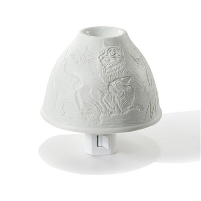 

Wall mounted porcelain night light