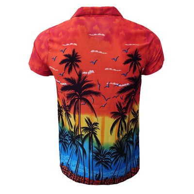 

Toponeto Fashion Mens Casual Button Hawaii Print Beach Short Sleeve Quick Dry Top Blouse