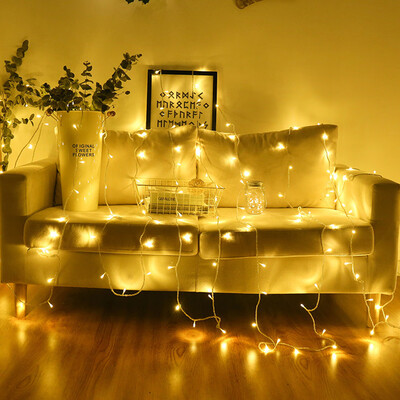 

Gobestart 4 Meter 40 LED USB String Lights 220V Wedding Party Decoration Garland Lights