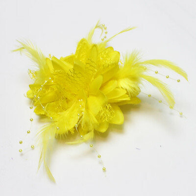 

Hot Flower Feather Bead Corsage Hair Clips Fascinator Bridal Hairband Brooch Pin