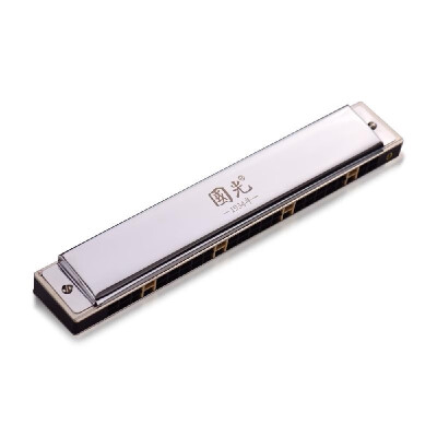 

24 Holes Key of G Tremolo Harmonica Stainless Steel Mouthorgan Professional Harmonicas with Case&Cleaning Cloth