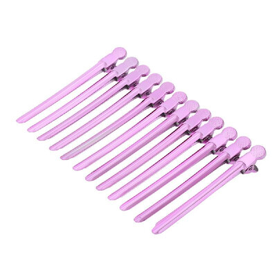 

12PCS Hair Clips Metal Fashion Hair Clip with Holes Duckbill Clips Anti-slip Hair Styling Salon Hairdressing Tool