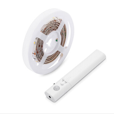 

BRELONG LED Body Induction Light Strip