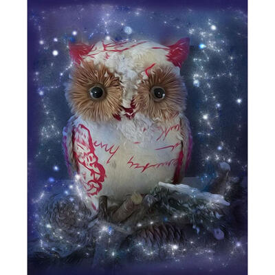 

5D DIY Full Drill Diamond Painting Strange Bird Cross Stitch Embroidery Kit