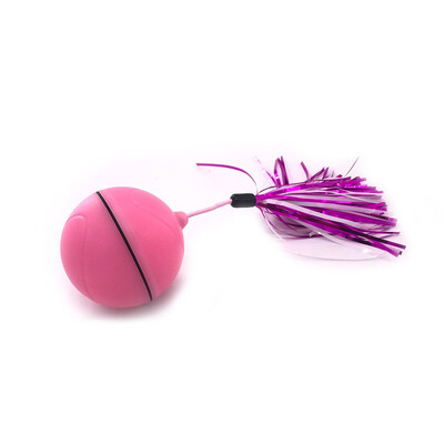 

Electronic Rolling Flash Ball USB Charging Pet Ball LED flash rolling cat toys Funny Feather Interactive Cat Toys For Puppy Dog