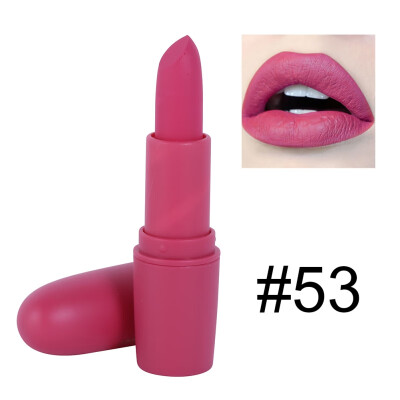 

Matte Lipstick Ladies Makeup Rouge Moisturizer Lip Tattoo 10 Colors Cosmetics Pigment Velvet W1