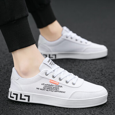 

Summer Canvas Shoes Mens Trendy Shoes