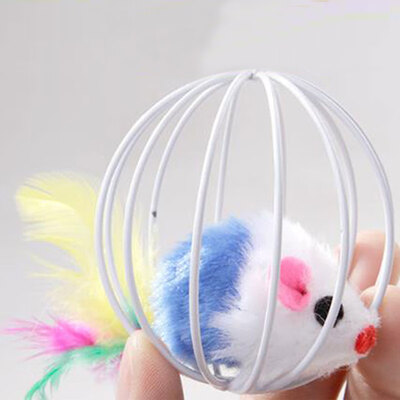 

Cage Ball Cage with The Cat Toys with Feathers Rabbit Mouse in A Cage