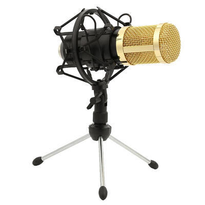 

BM800 Uni-directional Condenser Sound Recording Microphone with Shock Mount