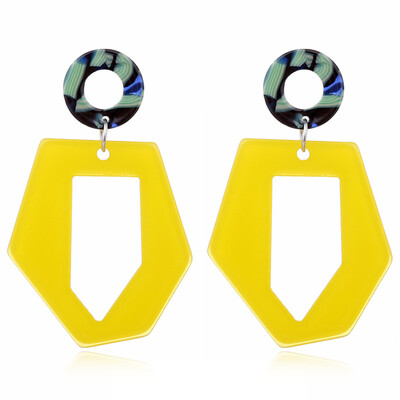 

Geometric Women Dangle Drop Hook Acrylic Ear Stud Earrings