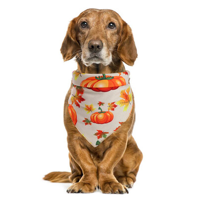 

Gobestart Bibs Pet Saliva Towel Thanksgiving With Costume Decor Hats For Small Cat Dog