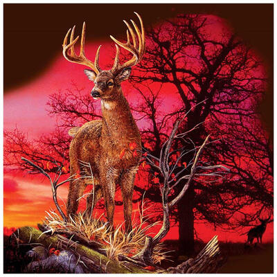 

5D DIY Full Drill Diamond Painting Deer Cross Stitch Craft Kit Home Decor