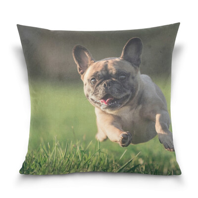 

ALAZA Throw Pillow Case Decorative Pillow Covers 16 X 16 inch Dog Running Picture Pattern Pillowcase
