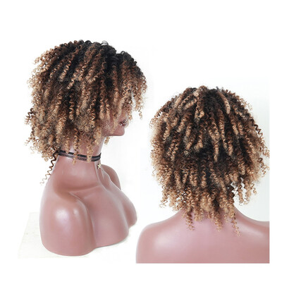 

Dolago Blonde Afro Kinky Curly Wigs Colorful Ombre Lace Front Closure Wig 4x4 Short Human Hair Wigs With Baby Hair Cut Bob 1B427 E