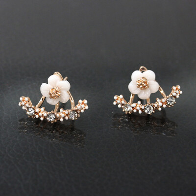 

guangxichuangshengxinfu 1 Pair New Fashion Women Lady Elegant Crystal Rhinestone Ear Stud Earrings