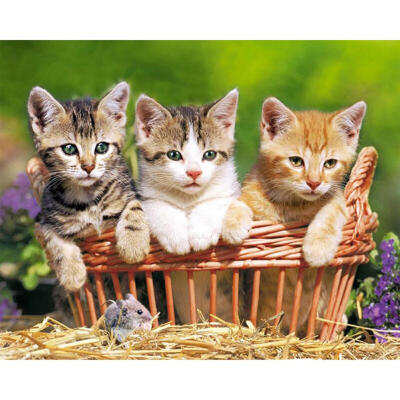 

5D DIY Full Drill Diamond Painting Lovely Cats Cross Stitch Embroidery Kits