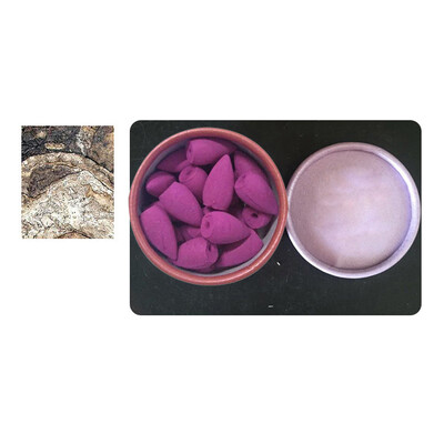 

Siaonvr 25pcs Smoke Tower Cones Bullet Backflow Incense Hollow Cone