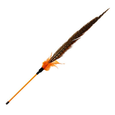 

Pet Cat Chasing Interactive Feather Toy Tease Cat Wand Toy for Solving Boredom&Exercise