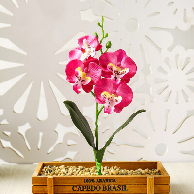 

Decoration Artificial Phalaenopsis Bonsai Bouquets DIY Craft Flower Mini Wedding