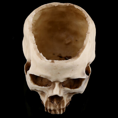 

Greensen 1pc Resin Skull Head Design Flower Pot Planter Container Decoration Skull ContainerSkull Pot