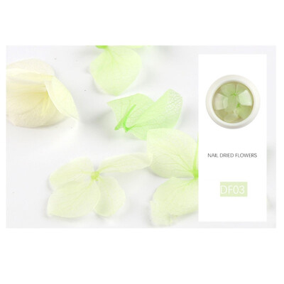

Toponeto Nail Accessories Color Petals Ziyang Nail Nail Nail DIY Decoration