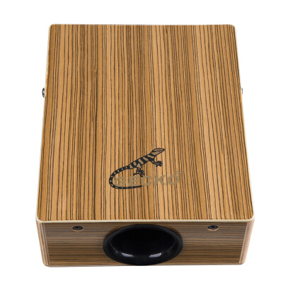 

Travel Cajon with Bag C68Z