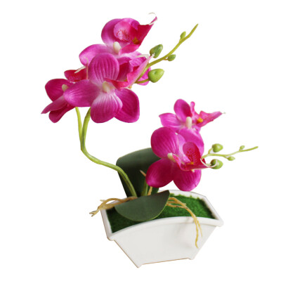 

Artificial Butterfly Orchid Flower Phalaenopsis Home Office Decor with Flowerpot