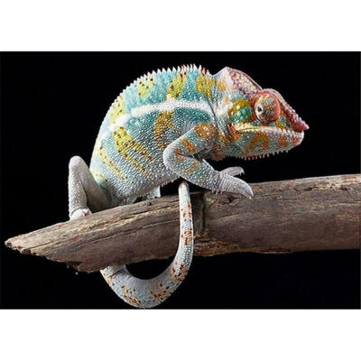 

5D DIY Full Drill Diamond Painting Lizard Cross Stitch Embroidery Mosaic