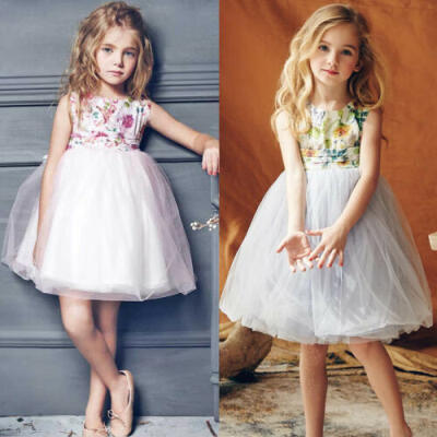 

Flower Girl Summer Princess Dress Kid Baby Party Wedding Lace Tulle Tutu Dress